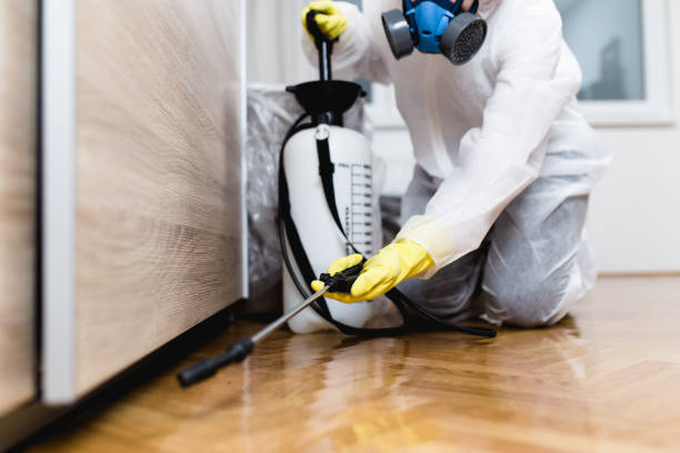 Best Best Pest Control Companies  in Emerald Bay, TX
