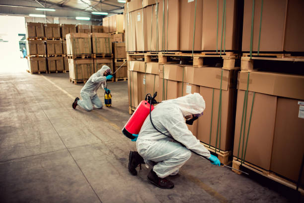 Best Affordable Pest Control Services  in Emerald Bay, TX