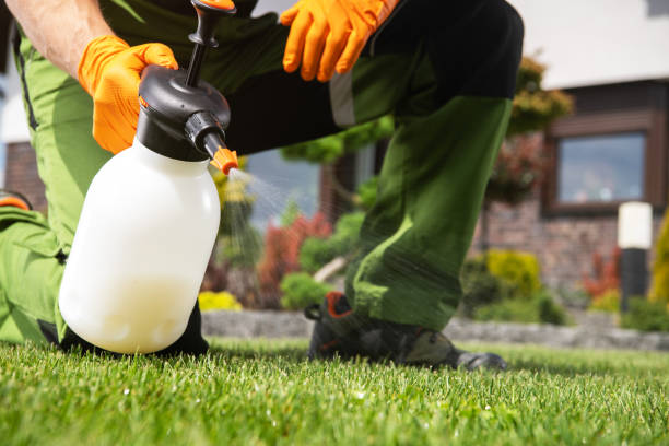 Best Affordable Pest Control Services  in Emerald Bay, TX