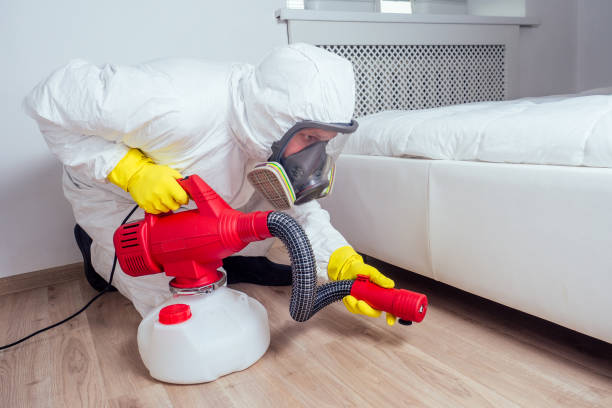 Best Pest Removal Services  in Emerald Bay, TX