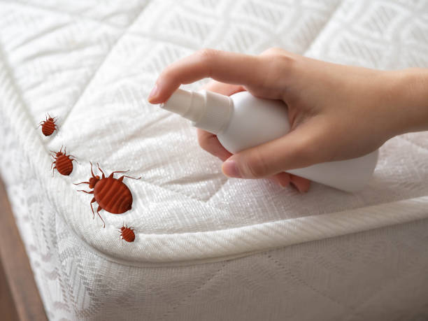  Emerald Bay, TX Pest Control Pros